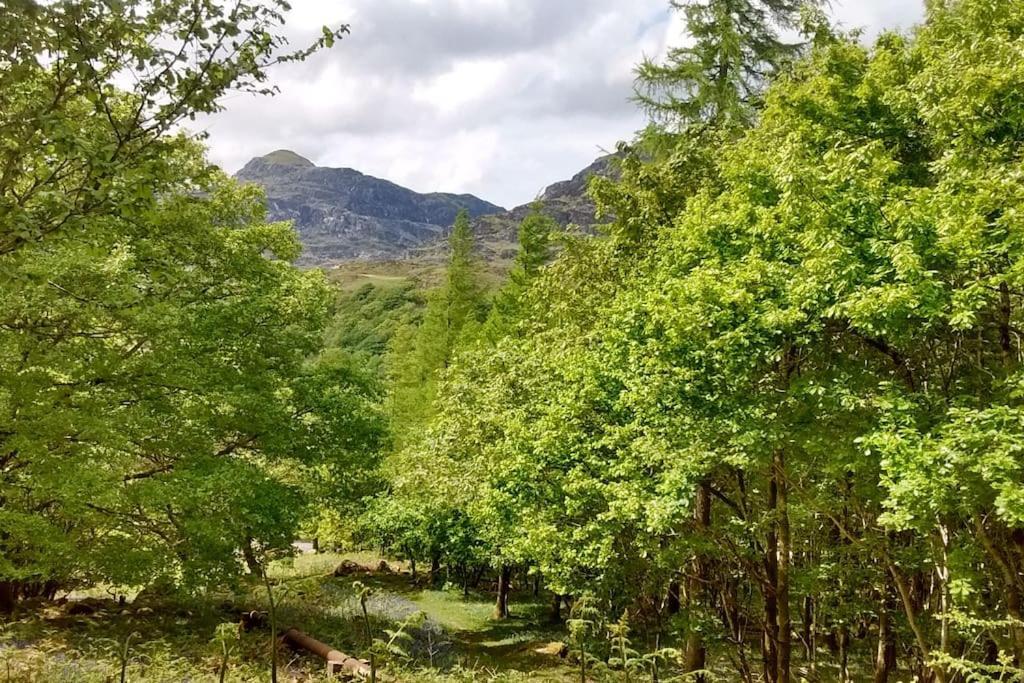 Mountain Walks Straight From The Doorstep Blaenau Ffestiniog Exterior foto